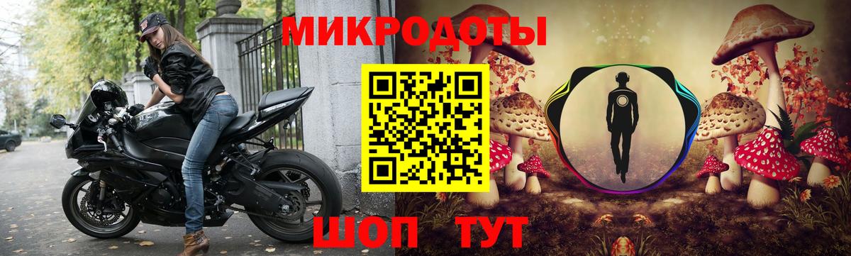 Псилоцибиновые грибы Psilocybine cubensis Шелехов